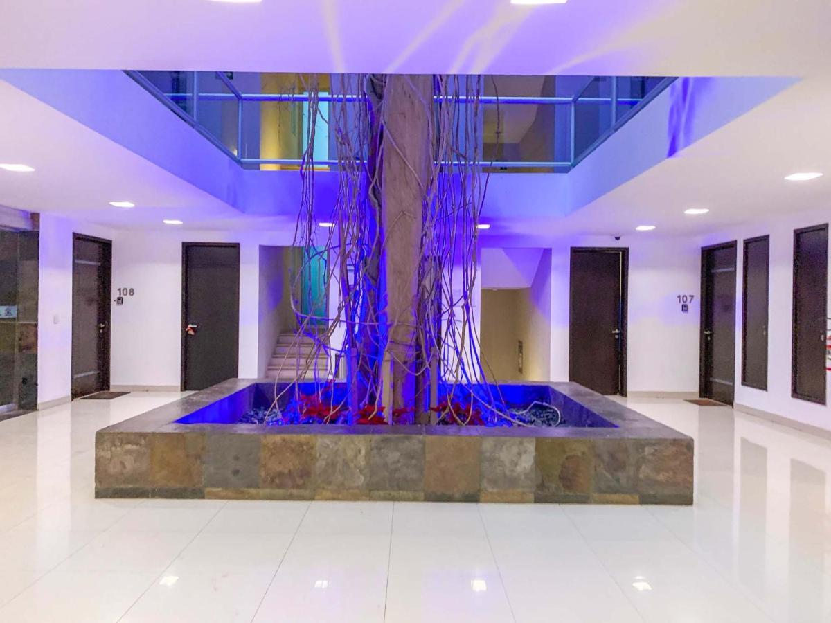 Oasis 12 Appartamento